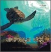 바다거북의 여행