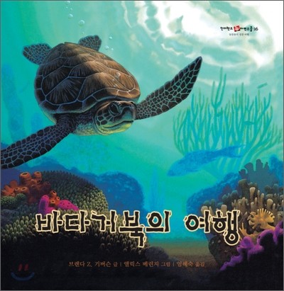 바다거북의 여행