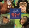 호기심 오감 자연관찰 01 까불까불 장난꾸러기 원숭이 (땅에 사는 동물)