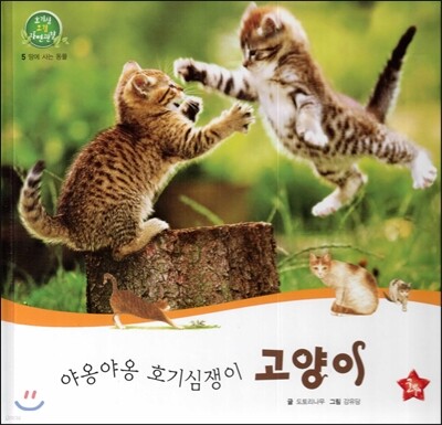 호기심 오감 자연관찰 05 야옹야옹 호기심쟁이 고양이 (땅에 사는 동물)