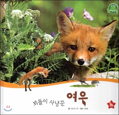 호기심 오감 자연관찰 06 꾀돌이 사냥꾼 여우 (땅에 사는 동물)