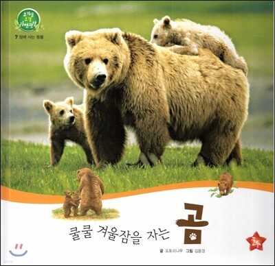 호기심 오감 자연관찰 07 쿨쿨 겨울잠을 자는 곰 (땅에 사는 동물)