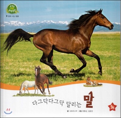 호기심 오감 자연관찰 08 다그닥다그닥 달리는 말 (땅에 사는 동물)