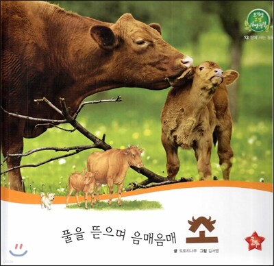 호기심 오감 자연관찰 13 풀을 뜯으며 음매음매 소 (땅에 사는 동물)