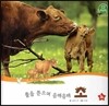 호기심 오감 자연관찰 13 풀을 뜯으며 음매음매 소 (땅에 사는 동물)