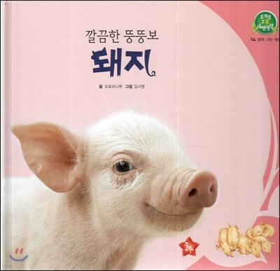 호기심 오감 자연관찰 14 깔끔한 뚱뚱보 돼지 (땅에 사는 동물)