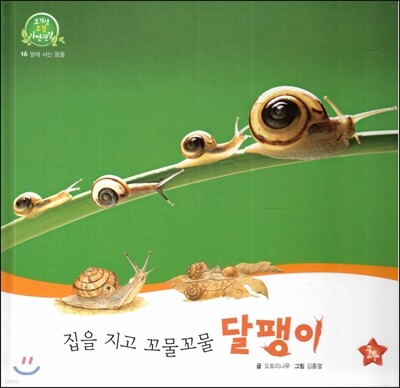 호기심 오감 자연관찰 16 집을 지고 꼬물꼬물 달팽이 (땅에 사는 동물)