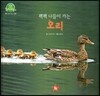 호기심 오감 자연관찰 21 꽥꽥 나들이 가는 오리 (날개 있는 동물)