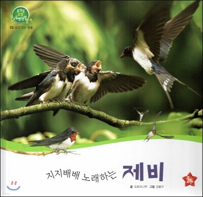 호기심 오감 자연관찰 23 지지배배 노래하는 제비 (날개 있는 동물)
