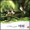 호기심 오감 자연관찰 23 지지배배 노래하는 제비 (날개 있는 동물)