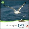 호기심 오감 자연관찰 24 푸른 바다 위를 나는 갈매기 (날개 있는 동물)