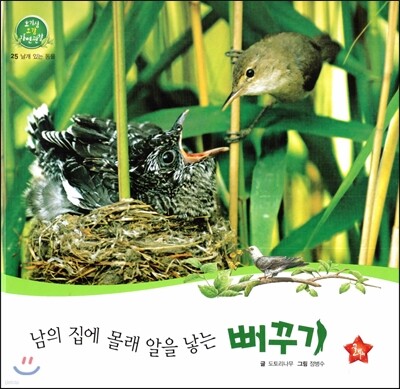 호기심 오감 자연관찰 25 남의 집에 몰래 알을 낳는 뻐꾸기 (날개 있는 동물)