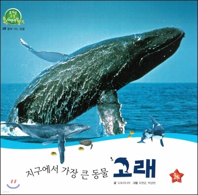 호기심 오감 자연관찰 28 지구에서 가장 큰 동물 고래 (물에 사는 동물)