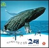 호기심 오감 자연관찰 28 지구에서 가장 큰 동물 고래 (물에 사는 동물)