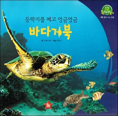 호기심 오감 자연관찰 29 등딱지를 메고 엉금엉금 바다거북 (물에 사는 동물)