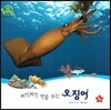 호기심 오감 자연관찰 32 찌익찌익 먹물 쏘는 오징어 (물에 사는 동물)