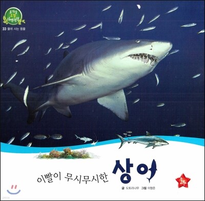 호기심 오감 자연관찰 33 이빨이 무시무시한 상어 (물에 사는 동물)