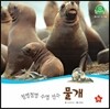 호기심 오감 자연관찰 34 첨벙첨벙 수영 선수 물개 (물에 사는 동물)