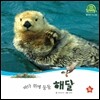 호기심 오감 자연관찰 35 바다 위에 둥둥 해달 (물에 사는 동물)