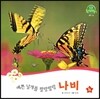 호기심 오감 자연관찰 38 예쁜 날개를 팔랑팔랑 나비 (곤충)