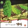 호기심 오감 자연관찰 39 짐을 지고 영차 영차 개미 (곤충)