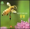 호기심 오감 자연관찰 40 꽃밭에서 윙윙 붕붕 꿀벌 (곤충)