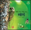호기심 오감 자연관찰 43 맴맴 우는 여름 손님 (곤충)