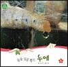 호기심 오감 자연관찰 48 술술 실을 뽑는 누에 (곤충)
