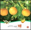 호기심 오감 자연관찰 52 사각사각 시원한 배 (열매와 채소)