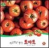 호기심 오감 자연관찰 53 탱글탱글 빨간 토마토 (열매와 채소)