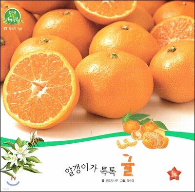 호기심 오감 자연관찰 57 알갱이가 톡톡 귤 (열매와 채소)