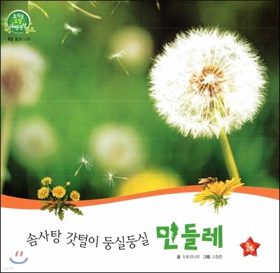 호기심 오감 자연관찰 63 솜사탕 갓털이 둥실둥실 민들레 (꽃과 나무)