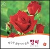 호기심 오감 자연관찰 64 향긋한 꽃향기가 솔솔 장미 (꽃과 나무)