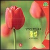 호기심 오감 자연관찰 66 알에서 싹이 쑥쑥 튤립 (꽃과 나무)