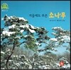 호기심 오감 자연관찰 68 겨울에도 푸른 소나무 (꽃과 나무)