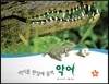 호기심 오감 자연관찰 76 먹이를 한입에 꿀꺽 악어 (물에 사는 동물)