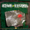 Indigo & Tropical (인디고 트로피컬)