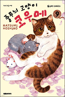 줄무늬 고양이 코우메 9