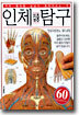 인체 집중 탐구