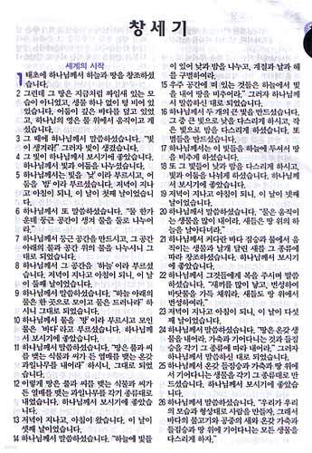 슬림쉬운성경&21C찬송가(소/합본/색인/비닐)(12*17.5)(연청색)