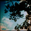 Bibio (Stephen Wilkinson) - Fi (Re-release) (Vinyl 2LP)