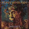 Pierre bensusan - Intuite