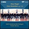 Frieder Bernius 레거: 모테트, 코랄 칸타타 ‘오 피와 상처로 얼룩진 머리’ (Reger: 3 Motets Op.110 for 7-8 part mixed choir)