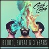 Cash Cash (캐쉬 캐쉬) - Blood, Sweat & 3 Years