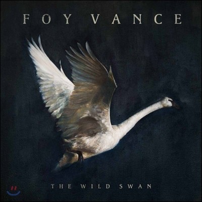 Foy Vance  (포이 반스) - The Wild Swan [LP]