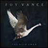Foy Vance  (포이 반스) - The Wild Swan [LP]
