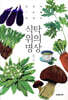 식탁 위의 명상
