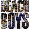Beach Boys - The Beach Boys (180G)(LP)