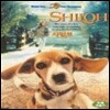 [중고] [DVD] Shiloh - 샤일로 (스냅케이스)