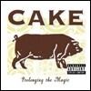 [중고] Cake / Prolonging The Magic